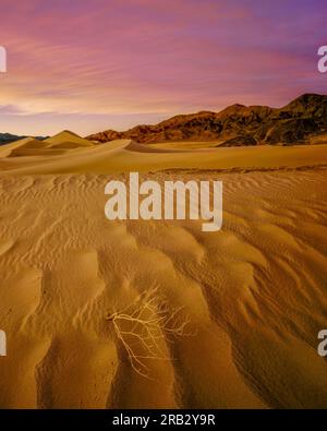 Crepuscolo, Ibex Dunes, Death Valley National Park, California Foto Stock