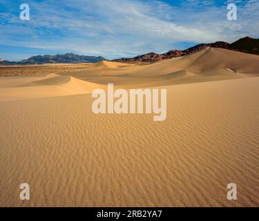 Ibex le dune, il Parco Nazionale della Valle della Morte, California Foto Stock