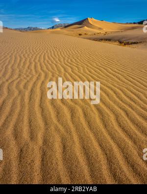 Ibex le dune, il Parco Nazionale della Valle della Morte, California Foto Stock