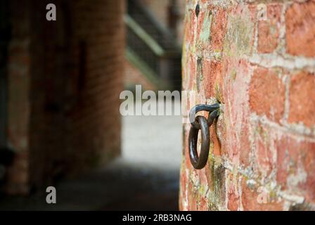 Muro di mattoni con anello di ferro per legare il bestiame in un'antica fortezza in Svezia. Foto Stock