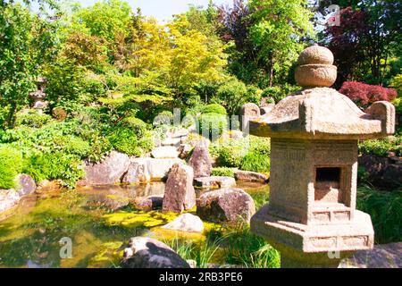 Incredibile vista sul giardino giapponese, tra cui rocce e aceri giapponesi a Wurzburg, in Baviera. Scalini su un piccolo laghetto Foto Stock