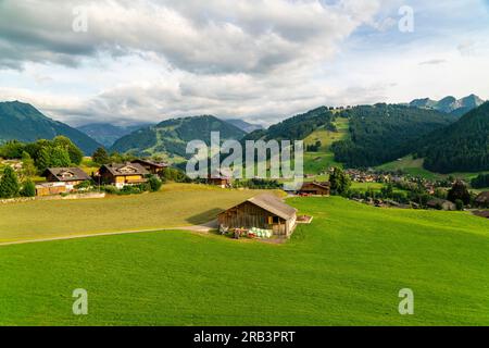 Campagna svizzera con campi verdi, case e Alpi svizzere Foto Stock