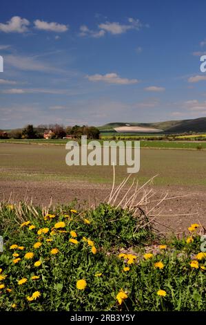 Le lontane Pewsey Downs viste dalla vale of Pewsey vicino a All Cannings, Wiltshire. Foto Stock