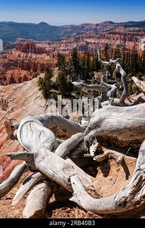 Vista dalla Rim Road Highway 148 nel Cedar Breaks National Monument, Utah, USA Foto Stock