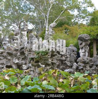 rocce e alberi sul bordo dello stagno con foglie di loto nel giardino Foto Stock