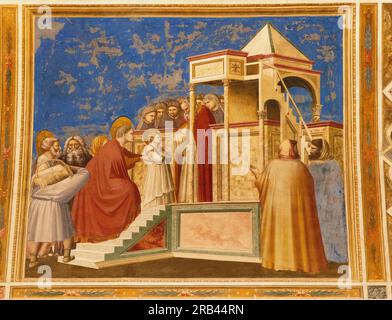 Affreschi di Giottos, Cappella degli Scrovegni, Padova - pittura rinascimentale italiana del XIV secolo - qui "la presentazione di Maria al Tempio"; Padova Italia Foto Stock