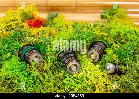 Tre bottiglie d'olio essenziali e un mini rotolo ricoperto di lichene verde o muschio, consistenza astratta, messa a fuoco ravvicinata Foto Stock