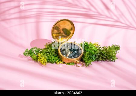 Bussola dorata su lichene verde con sfondo rosa e foglie di palme, mockup di concetto di viaggio Foto Stock