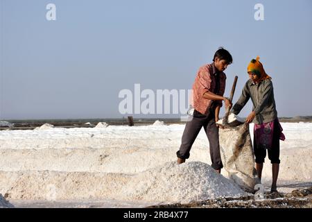 Gujarat. Rann di Kutch. soluzione salina Foto Stock