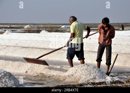 Gujarat. Rann di Kutch. soluzione salina Foto Stock
