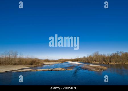 Lanca di Bernate. Parco del Ticino. Lombardia. Italia Foto Stock