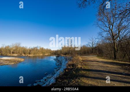 Lanca di Bernate. Parco del Ticino. Lombardia. Italia Foto Stock