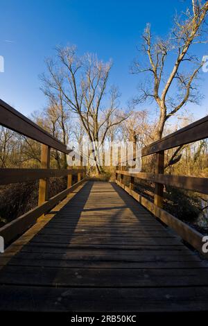 Lanca di Bernate. Parco del Ticino. Lombardia. Italia Foto Stock