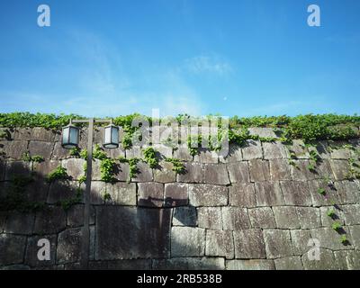 vecchio muro di pietra ricoperto da pianta verde con lampada e cielo Foto Stock