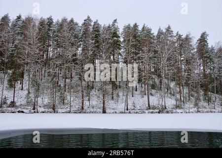 Paesaggio invernale delle meraviglie sul lago ghiacciato con il centro fuso e gli alberi innevati sulla riva Foto Stock