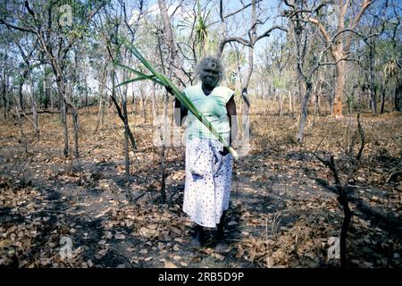 Tiwi Woman. Isola di Bathurst. Isole Tiwi. Melville Island. Territorio del Nord. Australia Foto Stock