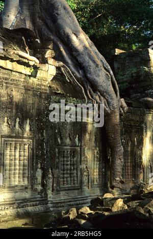 Angkor Wat. Cambogia. Asia Foto Stock