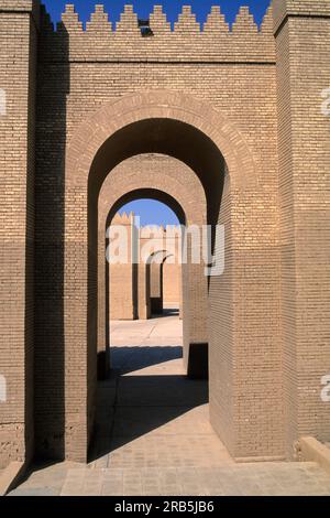 Sito archeologico di Babilonia. Iraq. Asia Foto Stock