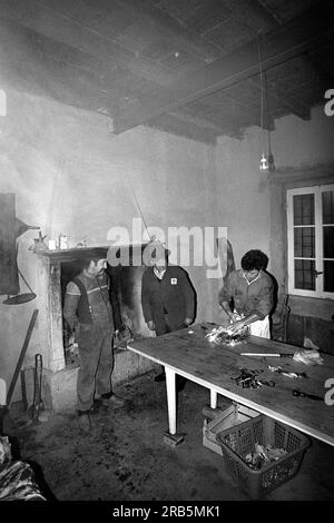 Macellazione artigianale. Italia. anni '70 Foto Stock