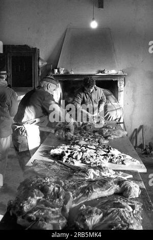 Macellazione artigianale. Italia. anni '70 Foto Stock