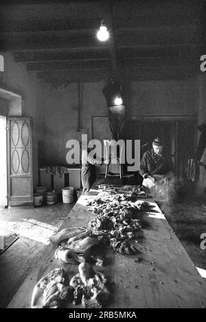 Macellazione artigianale. Italia. anni '70 Foto Stock