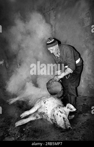 Macellazione artigianali, Italia, 70's Foto Stock