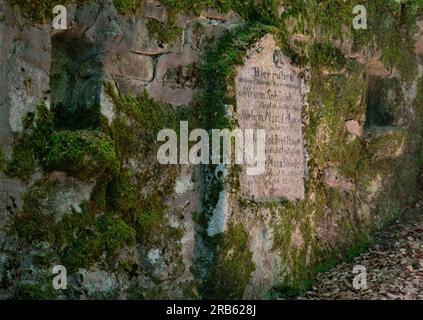 Resti della prima guerra mondiale: Un vecchio cimitero tedesco dimenticato in una foresta nei Vosgi francesi, nomi di soldati caduti scolpiti nella pietra Foto Stock