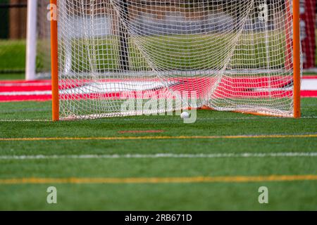 Spettacolare foto nel tardo pomeriggio di un obiettivo di lacrosse su un campo di erba sintetica. Foto Stock