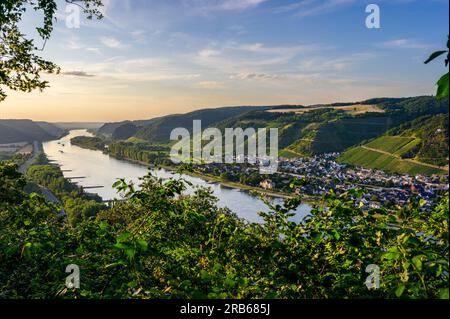 Vista dalla cima di una collina con foglie verdi in primo piano mentre il sole tramonta su Leutesdorf, un piccolo villaggio di vini con vigneti sulle colline che lo circondano. Foto Stock