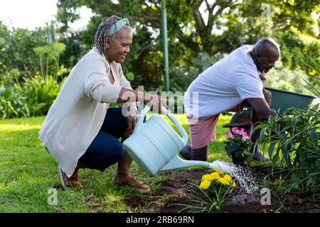 Felice coppia afro-americana anziana che si prende cura delle piante nel giardino soleggiato di casa. Stile di vita senior, hobby e giardinaggio, pensione, inalterato. Foto Stock