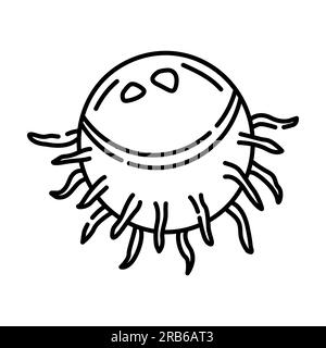 Illustrazione della linea vettoriale in bianco e nero rambutan Illustrazione Vettoriale