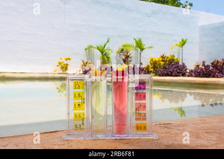 Misuratore del livello di cloro PH/CL2 in piscina. Sullo sfondo un bellissimo giardino con piante colorate Foto Stock