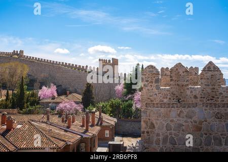 Mura medievali dei merli di Avila e vista sulla città - Avila, Spagna Foto Stock