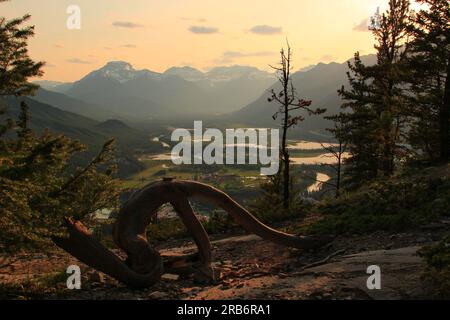 Dopo un'escursione a piedi Tunnel Mountain, conosciuta anche come Sleeping Buffalo, è il luogo perfetto per ammirare la città di Banff, annidata all'interno della Bow Valley. Foto Stock