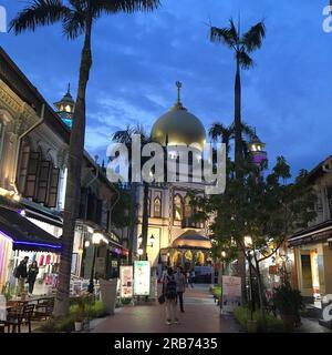 Viaggiando a Singapore. zone musulmane / मुस्लिम इलाका / zona musulmana / 穆斯林地区 Foto Stock