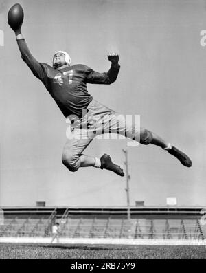 San Francisco, California: 10 novembre 1945. George Young dei Fleet City Bluejackets si prepara per la partita contro i Los Angeles Broncos. Foto Stock