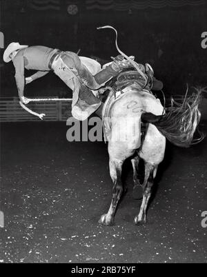 New York, New York: 1949. Un corridore di Roswell, New Mexico, viene espulso dalla sua sella nella gara di equitazione bronc all'apertura del World's Championship Rodeo nel Madison Square Garden. Foto Stock