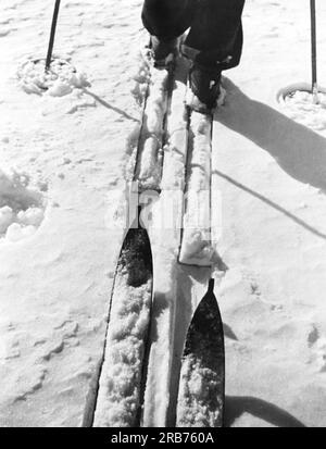 United Staes: c. 1930 Un primo piano degli sci di due sciatori di fondo che seguono sullo stesso tracciato. Foto Stock