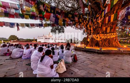 I devoti adorano a Lumbini: Il luogo di nascita del Buddha Foto Stock
