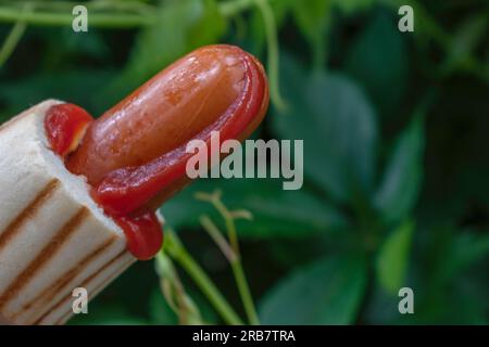 Un classico hot dog per strada, il tradizionale hot dog di pollo lucidato. Ketchup di pomodoro e salsiccia con sfondo verde sfocato natura Foto Stock