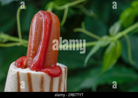 Un classico hot dog per strada, il tradizionale hot dog di pollo lucidato. Ketchup di pomodoro e salsiccia con sfondo verde sfocato natura Foto Stock