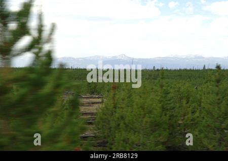 Viste del parco nazionale di Yellowstone, Wyoming, scattate durante la visita dal segretario Dirk Kempthorne e dagli assistenti Foto Stock