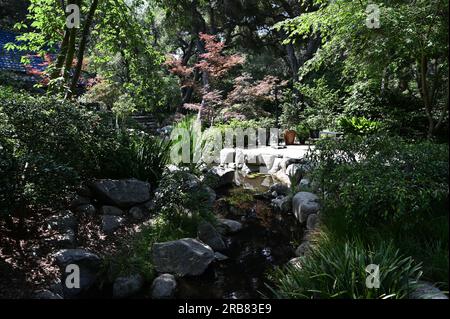 Laghetto presso un giardino botanico di Los Angeles. Foto Stock