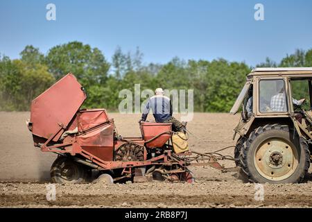 La piantatrice di patate agganciata al trattore gommato sta piantando patate nei campi. Foto Stock