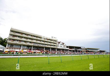 Una visione generale degli automobilisti in tribuna durante l'Old Newton Cup Day dell'Old Newton Cup Festival 2023 all'ippodromo di Haydock Park, Merseyside. Data foto: Sabato 8 luglio 2023. Foto Stock