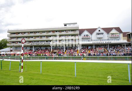 Una visione generale degli automobilisti in tribuna durante l'Old Newton Cup Day dell'Old Newton Cup Festival 2023 all'ippodromo di Haydock Park, Merseyside. Data foto: Sabato 8 luglio 2023. Foto Stock