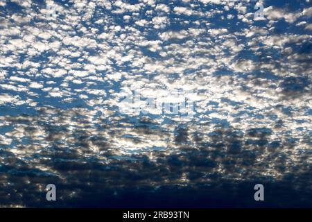 Altocumulus translucidus sono nuvole medie e persistono in condizioni meteorologiche stabili, se assumono un aspetto di vetro smerigliato, ciò suggerirebbe la pioggia presto Foto Stock