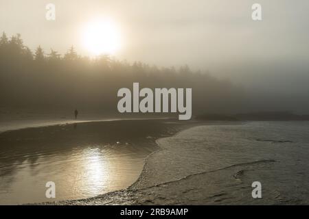 Silhouette di un uomo che cammina sulla spiaggia di Chesterman nella nebbia, Tofino, Vancouver Island, British Columbia, Canada. Foto Stock