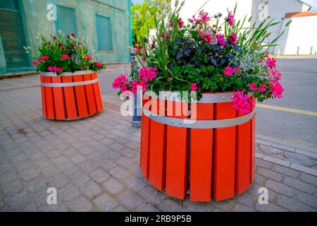 Splendida vista su diversi fiori all'aperto. Splendidi e colorati paesaggi naturali. Decorazioni all'aperto con caffè e interni di design Foto Stock