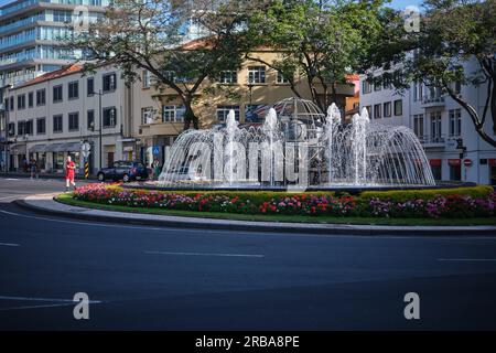 Fontana di Infante Avenue, isola di madeira, Portogallo Foto Stock